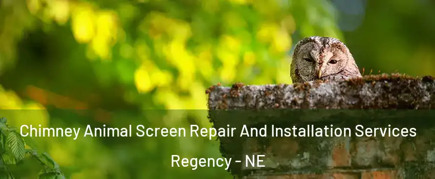 Chimney Animal Screen Repair And Installation Services Regency - NE