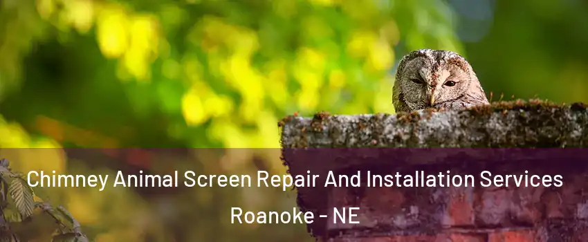 Chimney Animal Screen Repair And Installation Services Roanoke - NE