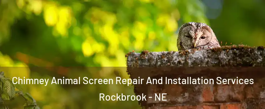 Chimney Animal Screen Repair And Installation Services Rockbrook - NE