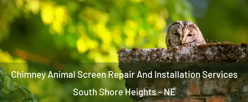 Chimney Animal Screen Repair And Installation Services South Shore Heights - NE