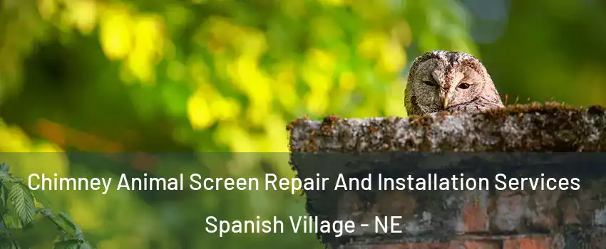 Chimney Animal Screen Repair And Installation Services Spanish Village - NE
