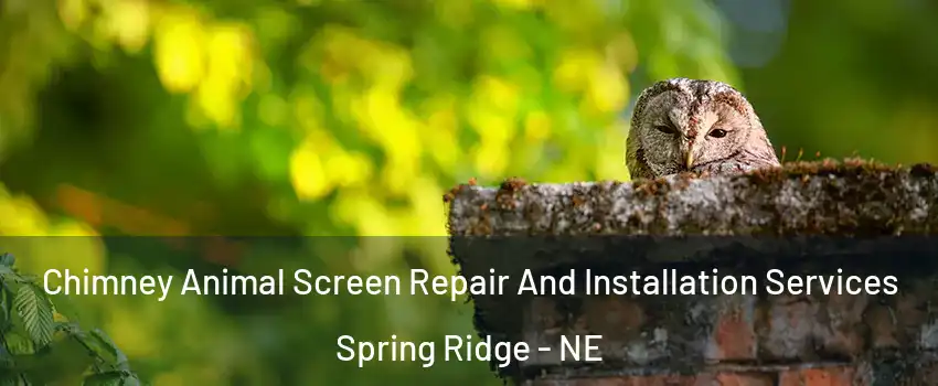 Chimney Animal Screen Repair And Installation Services Spring Ridge - NE