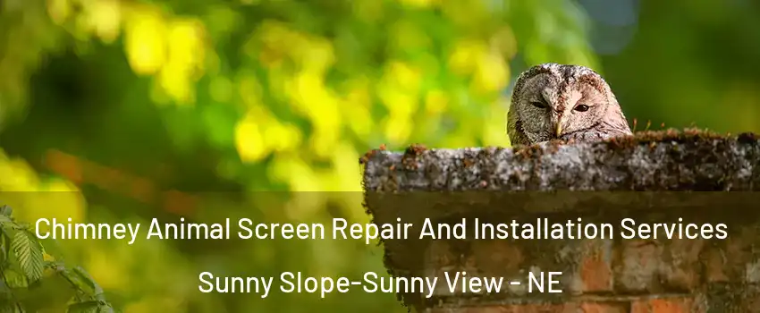Chimney Animal Screen Repair And Installation Services Sunny Slope-Sunny View - NE