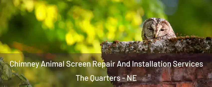 Chimney Animal Screen Repair And Installation Services The Quarters - NE