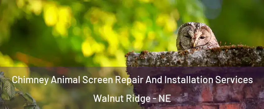 Chimney Animal Screen Repair And Installation Services Walnut Ridge - NE