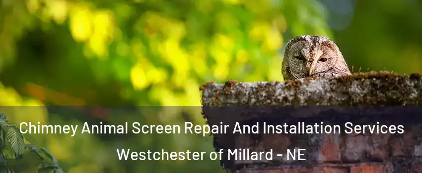 Chimney Animal Screen Repair And Installation Services Westchester of Millard - NE