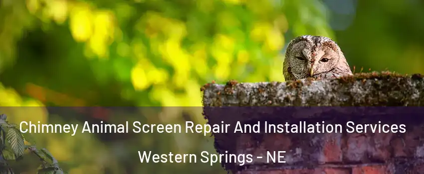 Chimney Animal Screen Repair And Installation Services Western Springs - NE