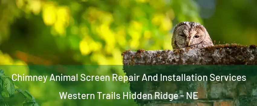 Chimney Animal Screen Repair And Installation Services Western Trails Hidden Ridge - NE