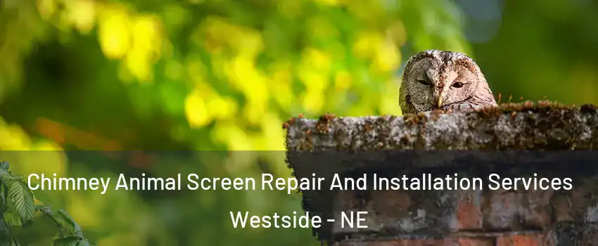 Chimney Animal Screen Repair And Installation Services Westside - NE