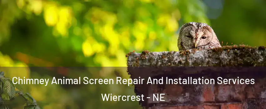 Chimney Animal Screen Repair And Installation Services Wiercrest - NE