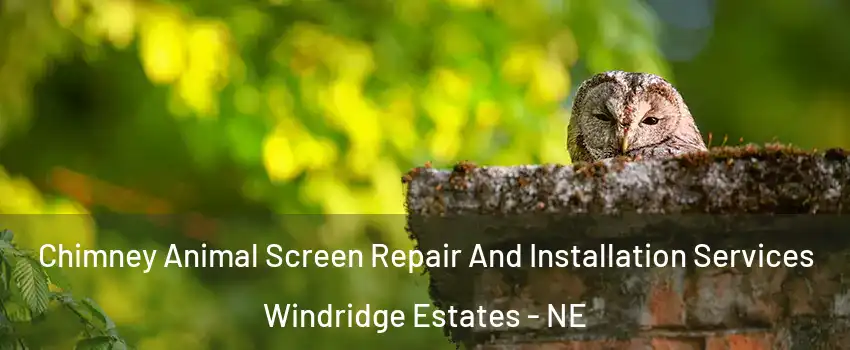 Chimney Animal Screen Repair And Installation Services Windridge Estates - NE