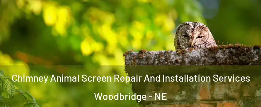 Chimney Animal Screen Repair And Installation Services Woodbridge - NE