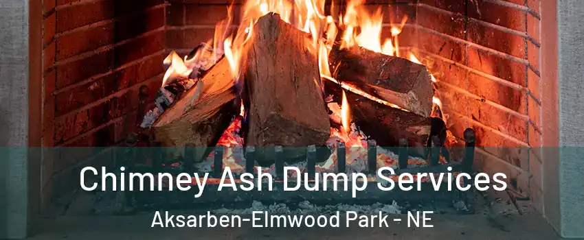 Chimney Ash Dump Services Aksarben-Elmwood Park - NE