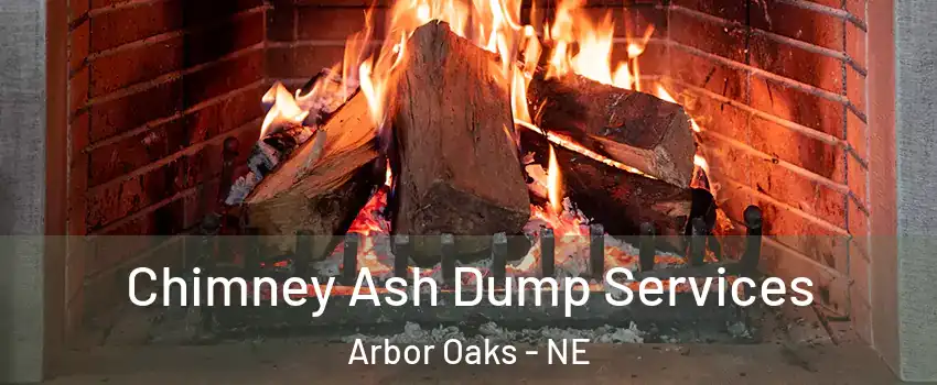 Chimney Ash Dump Services Arbor Oaks - NE