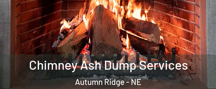 Chimney Ash Dump Services Autumn Ridge - NE
