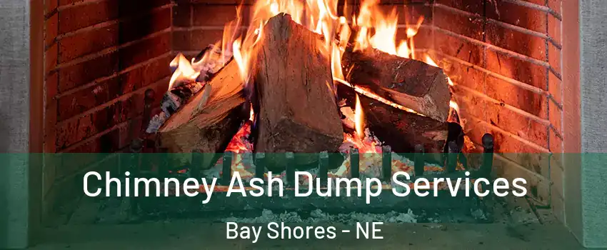 Chimney Ash Dump Services Bay Shores - NE
