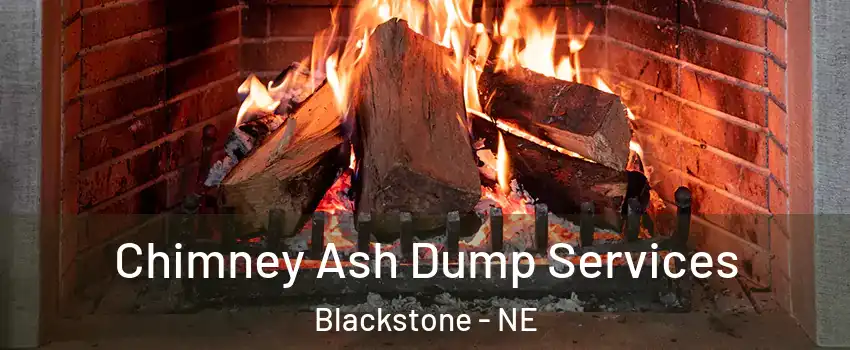 Chimney Ash Dump Services Blackstone - NE