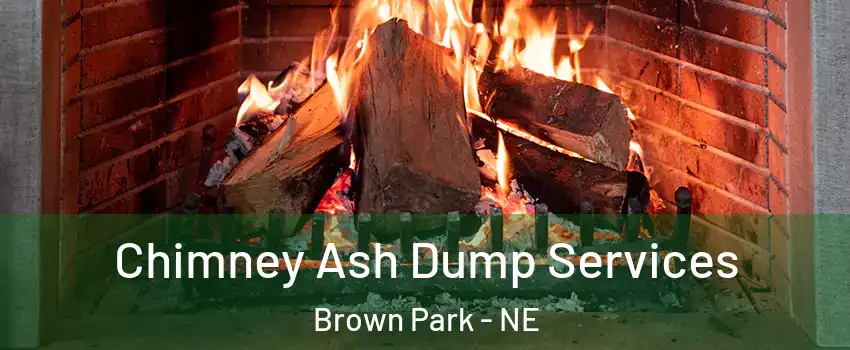 Chimney Ash Dump Services Brown Park - NE