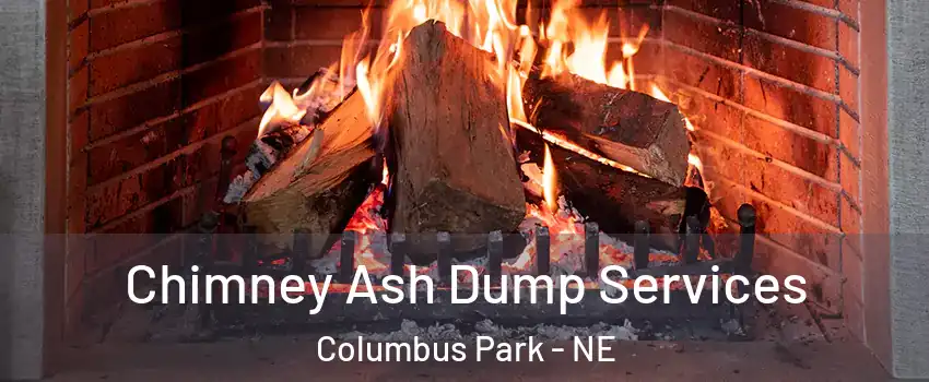 Chimney Ash Dump Services Columbus Park - NE