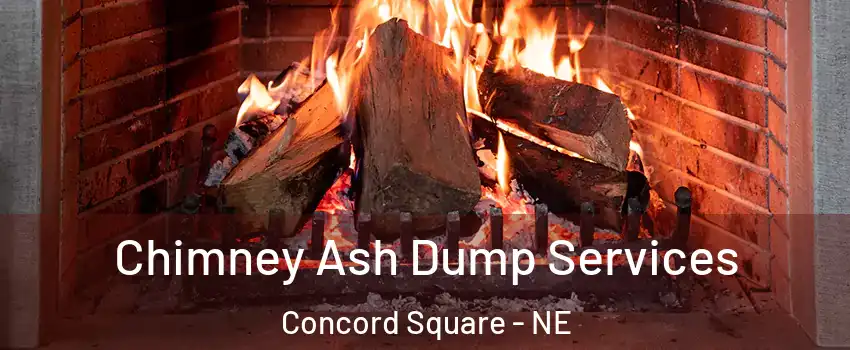 Chimney Ash Dump Services Concord Square - NE