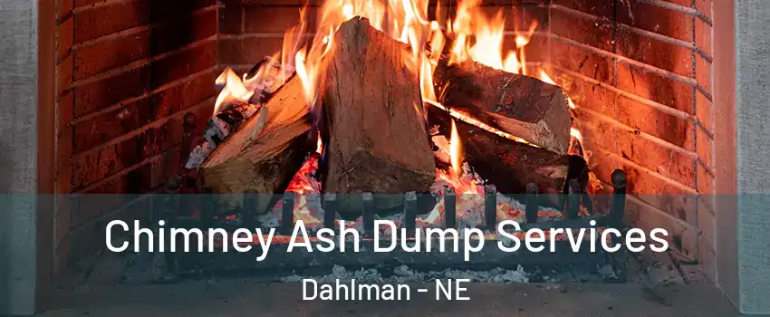 Chimney Ash Dump Services Dahlman - NE