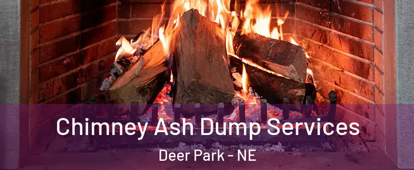 Chimney Ash Dump Services Deer Park - NE