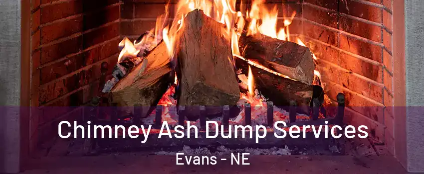 Chimney Ash Dump Services Evans - NE