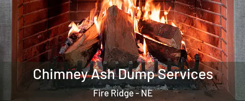 Chimney Ash Dump Services Fire Ridge - NE