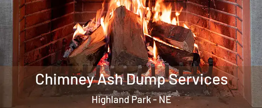 Chimney Ash Dump Services Highland Park - NE