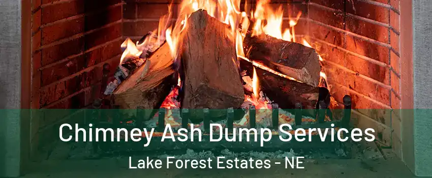 Chimney Ash Dump Services Lake Forest Estates - NE