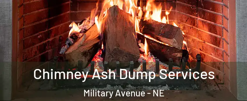 Chimney Ash Dump Services Military Avenue - NE