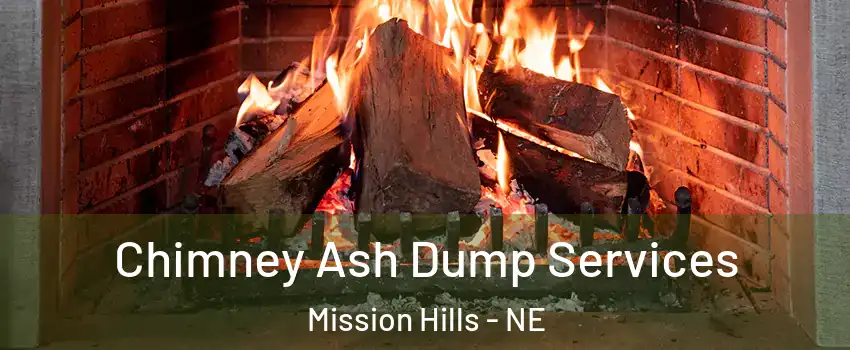 Chimney Ash Dump Services Mission Hills - NE