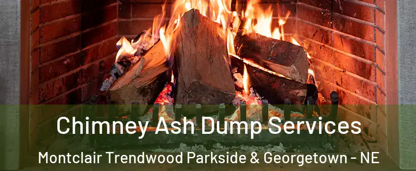 Chimney Ash Dump Services Montclair Trendwood Parkside & Georgetown - NE