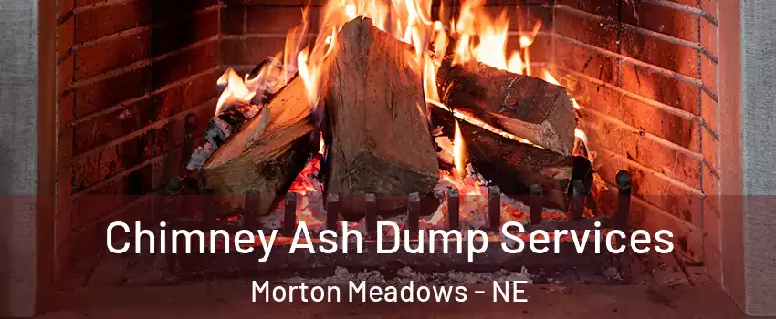 Chimney Ash Dump Services Morton Meadows - NE