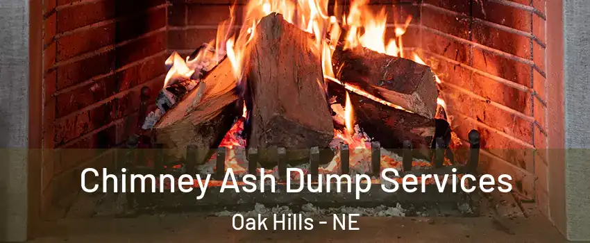 Chimney Ash Dump Services Oak Hills - NE