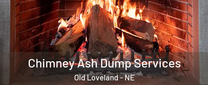 Chimney Ash Dump Services Old Loveland - NE