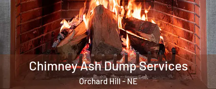 Chimney Ash Dump Services Orchard Hill - NE