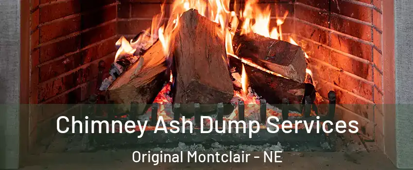 Chimney Ash Dump Services Original Montclair - NE