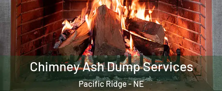 Chimney Ash Dump Services Pacific Ridge - NE