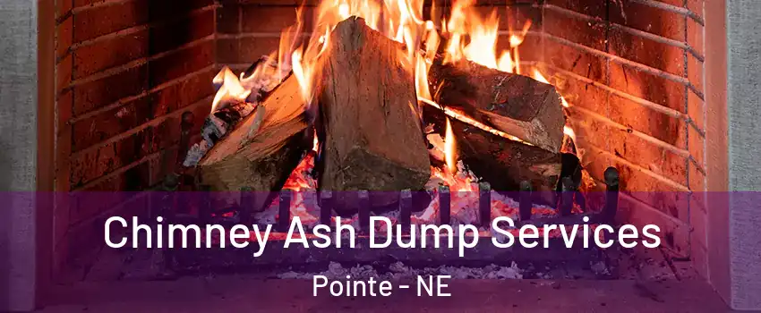 Chimney Ash Dump Services Pointe - NE
