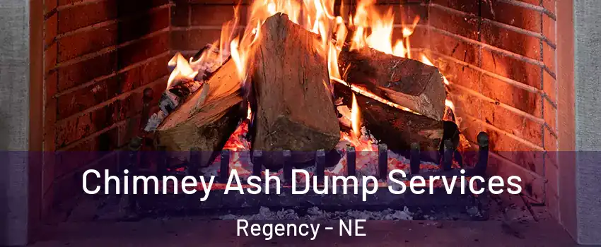 Chimney Ash Dump Services Regency - NE