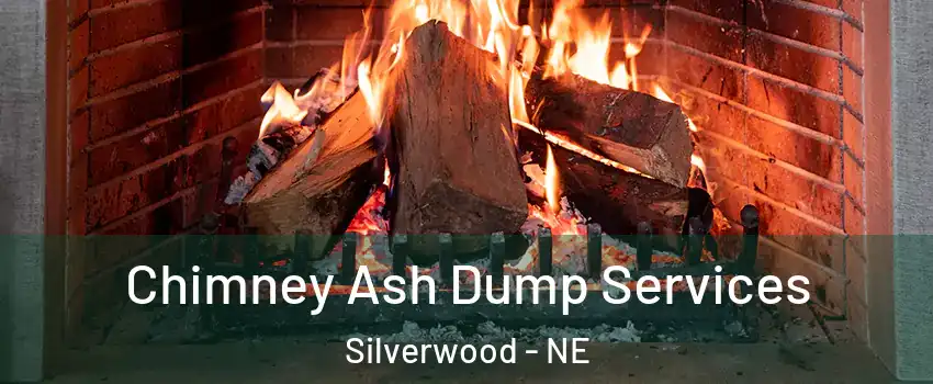 Chimney Ash Dump Services Silverwood - NE