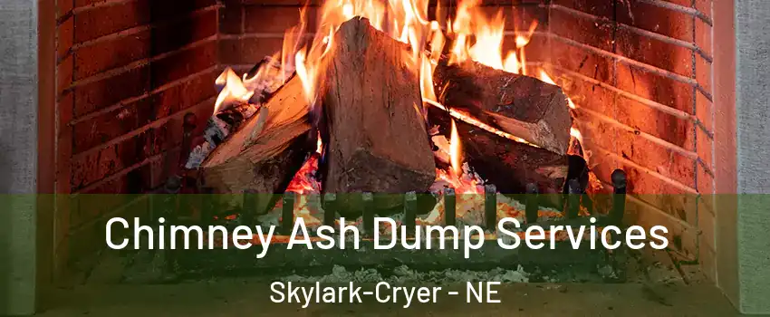 Chimney Ash Dump Services Skylark-Cryer - NE