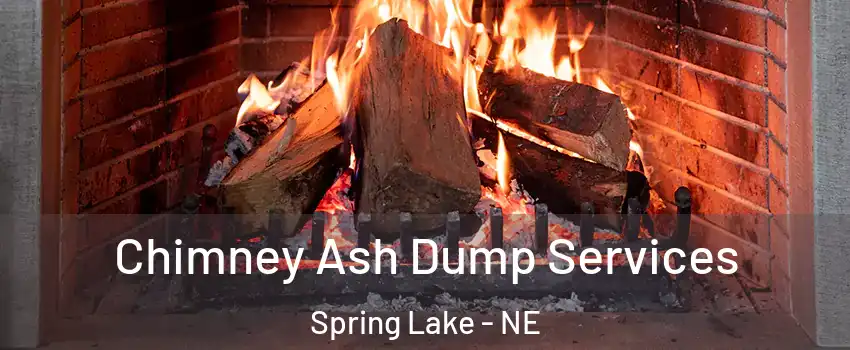 Chimney Ash Dump Services Spring Lake - NE