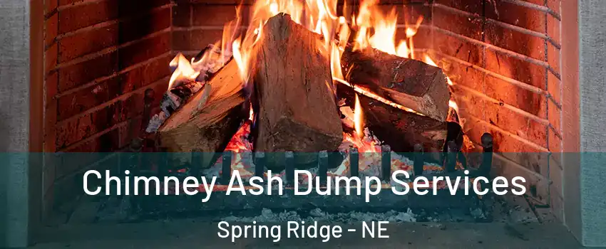 Chimney Ash Dump Services Spring Ridge - NE