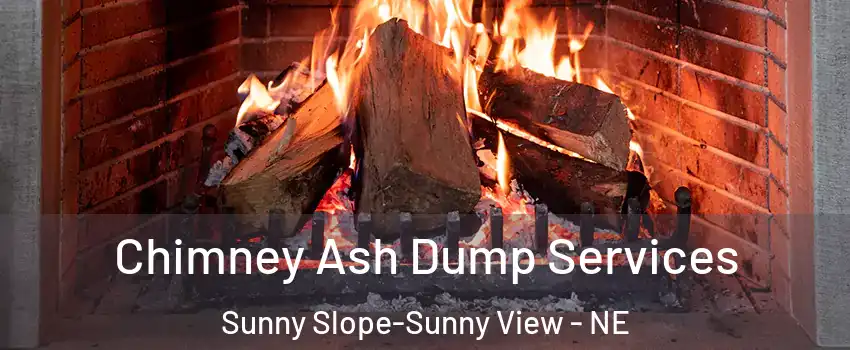 Chimney Ash Dump Services Sunny Slope-Sunny View - NE