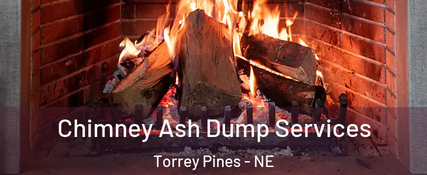 Chimney Ash Dump Services Torrey Pines - NE
