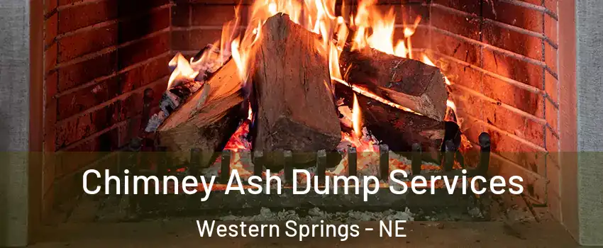Chimney Ash Dump Services Western Springs - NE
