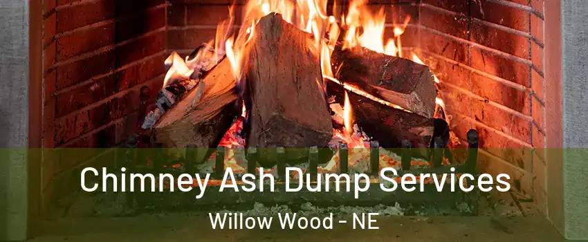 Chimney Ash Dump Services Willow Wood - NE