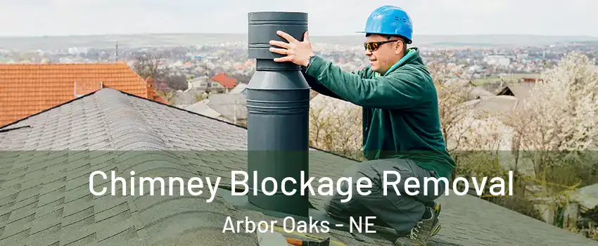 Chimney Blockage Removal Arbor Oaks - NE